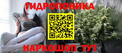 2c-b Бийск