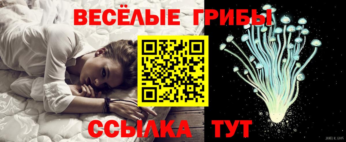 Ижевск  Псилоцибиновые грибы Psilocybe  Вход с VPN 